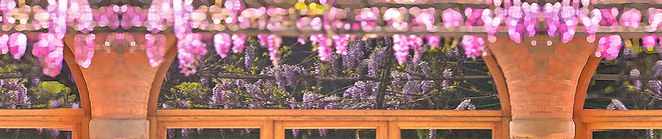 Packages for the Tuscan Workshops